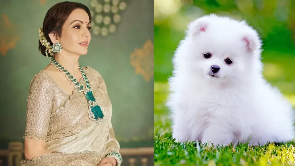 Ambani family dog luxury life