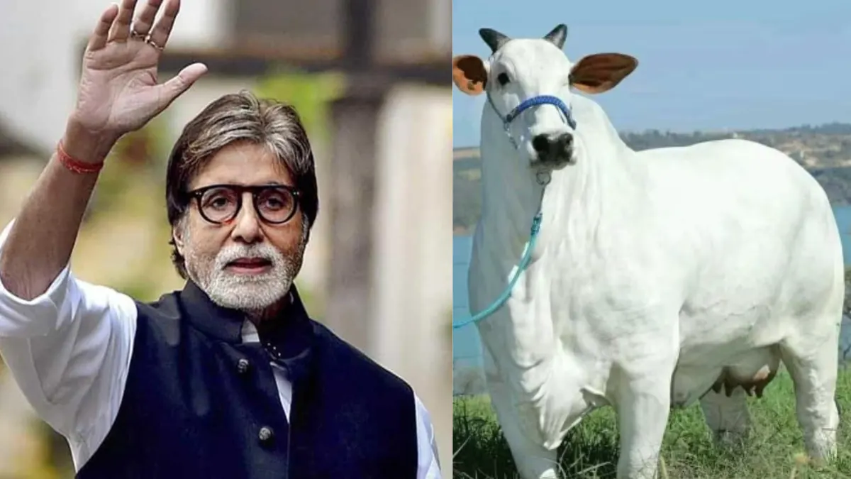 Amitabh Bachchan drinks cow milk