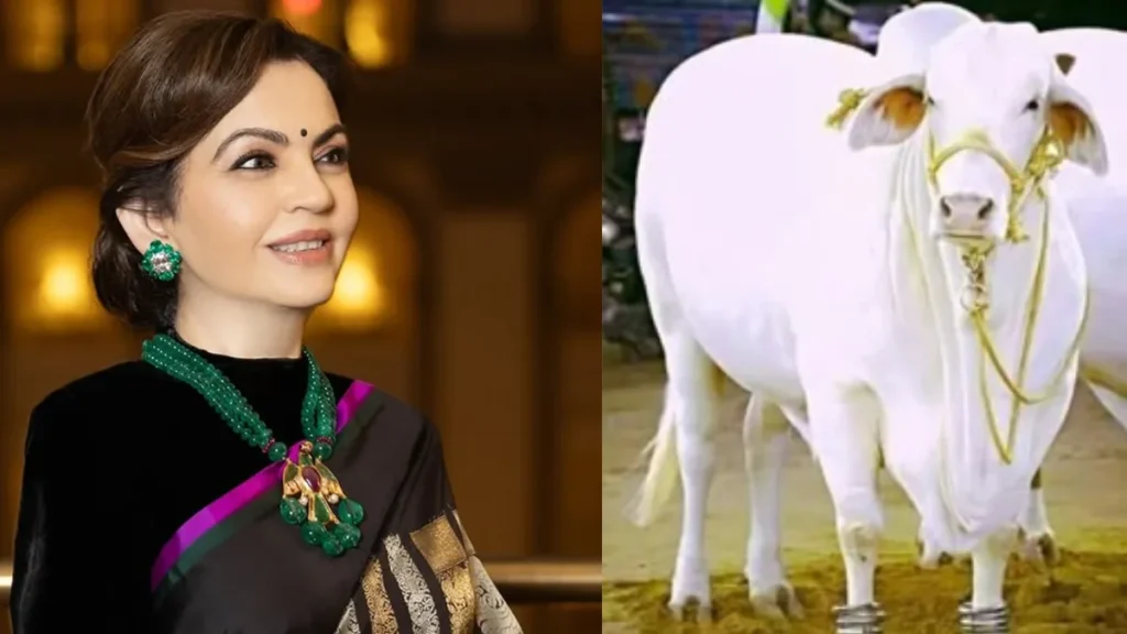 Nita Ambani Milk